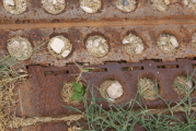 dsc51112.jpg
