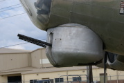 dsc51203.jpg