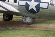 dsc51230.jpg