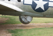 dsc51235.jpg