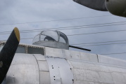 dsc51241.jpg
