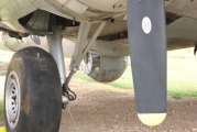 dsc51255.jpg