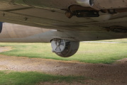 dsc51261.jpg