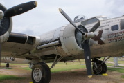 dsc51290.jpg
