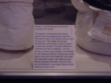 dsc21772.jpg