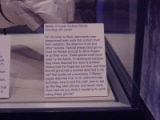 dsc21775.jpg