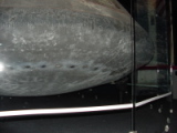 dsc05607.jpg