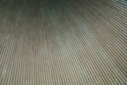 dsc33427.jpg