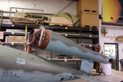 dsc59338.jpg