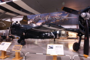 Wildcat