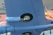 dsc70813.jpg