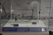 dscd6439.jpg at Apollo:  When We Went to the Moon