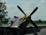 dsc19737.jpg