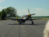 dsc19741.jpg
