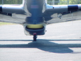 dsc19747.jpg