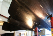 dsc45111.jpg