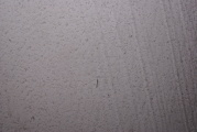 dsc45398.jpg