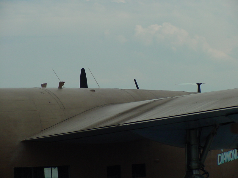 dsc19727.jpg