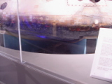 dsc05172.jpg