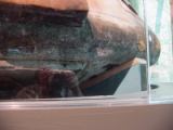 dsc06980.jpg