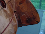 dsc07009.jpg