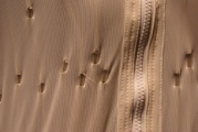 dsc69912.jpg