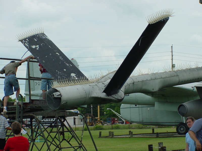 dsc10256.jpg