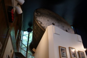 dsc43868.jpg