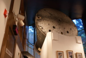 dsc43918.jpg