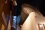 dsc43919.jpg