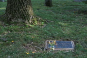 dsc77512.jpg