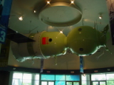 dsc07288.jpg