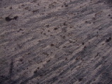 dsc07945.jpg
