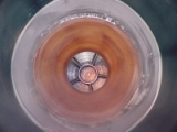 dsc08242.jpg