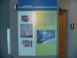 dsc09124.jpg