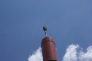 dsc48251.jpg