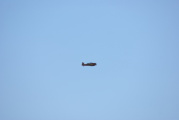 dsc36089.jpg