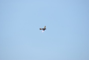 dsc36090.jpg