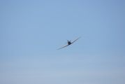 dsc36095.jpg