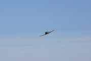 dsc36098.jpg