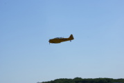 dsc36108.jpg