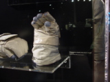 dsc00143a.jpg