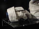 dsc00146a.jpg
