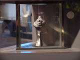Moon Rock