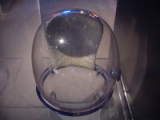 dsc16107.jpg