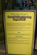 dsc45945.jpg