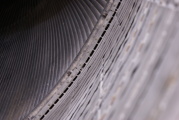 dsc46249.jpg