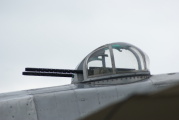 dsc52942.jpg