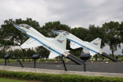 dsc49838.jpg