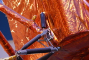 dsc50013.jpg
